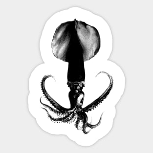 Squid Sticker